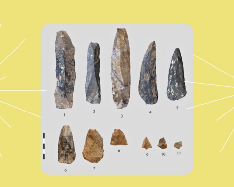Археологи-РАН-нашли-одни-из-древнейших-наконечников-стрел-возрастом-80-тысяч-лет