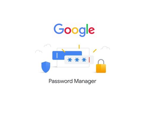 google-published-her-password-manager-in-play-store-as-a-separate-application