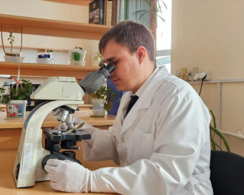 В-Туркменистане-разработана-мазь-на-основе-эфирного-масла-можжевельника