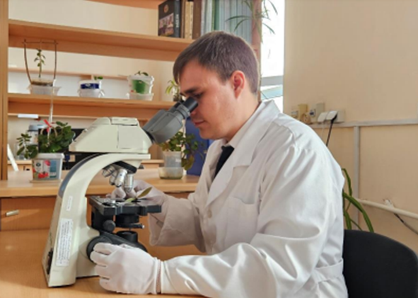 В-Туркменистане-разработана-мазь-на-основе-эфирного-масла-можжевельника