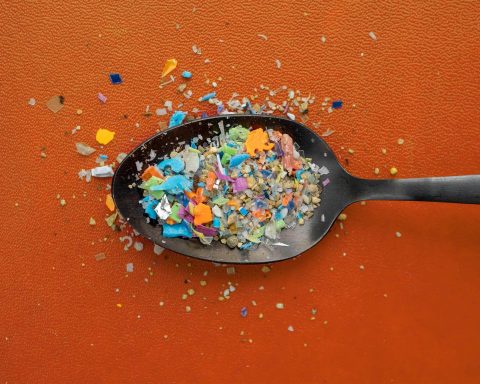 proved:-microplastics-can-make-bacteria-resistant-to-drugs