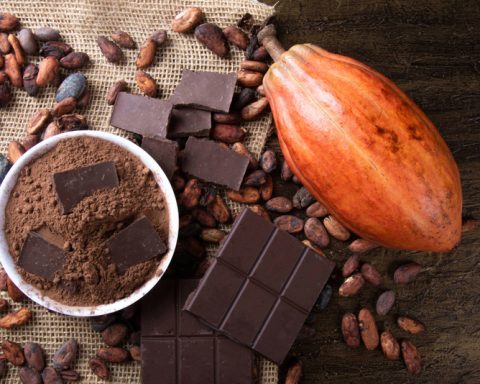 scientists-have-found-that-chocolate-becomes-tasty-thanks-to-microbes