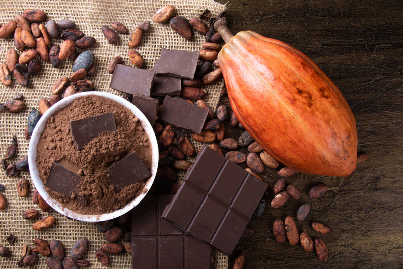 scientists-have-found-that-chocolate-becomes-tasty-thanks-to-microbes