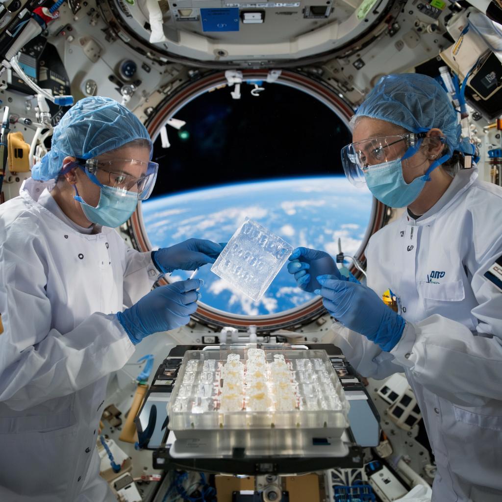 Российские-биологи-изучат-структуру-белков-в-космосе