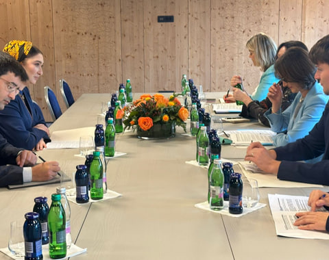 Замглавы-МИД-Туркменистана-обсудила-сотрудничество-в-Бледе