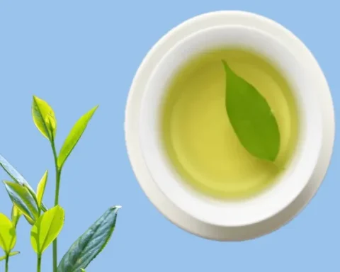 the-clarity-of-the-mind-and-other-advantages-of-green-tea-for-health