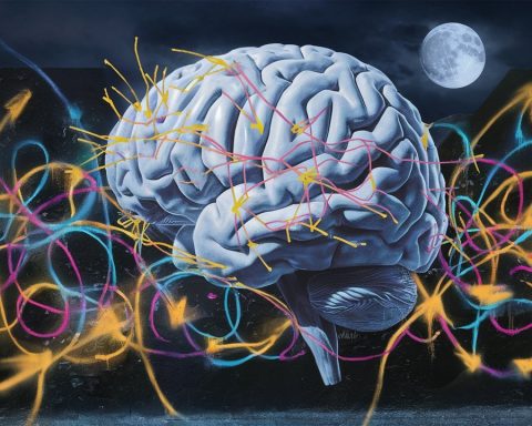 experts:-communication-with-ai-will-not-replace-live-communication-and-is-able-to-harm