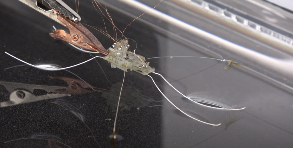 Учёные-создали-робота-водомерку,-что-ходит-по воде