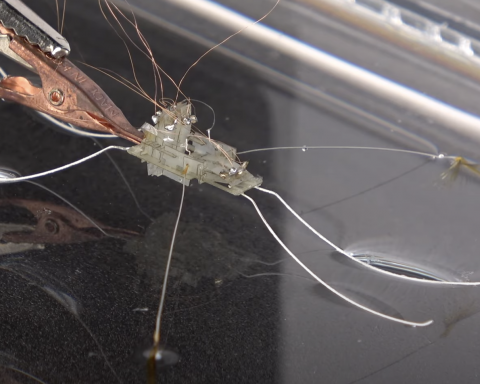 Учёные-создали-робота-водомерку,-что-ходит-по воде