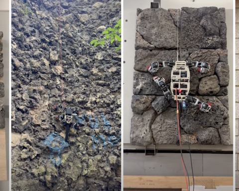 created-by-loris-robot-scalolas-with-“claws”