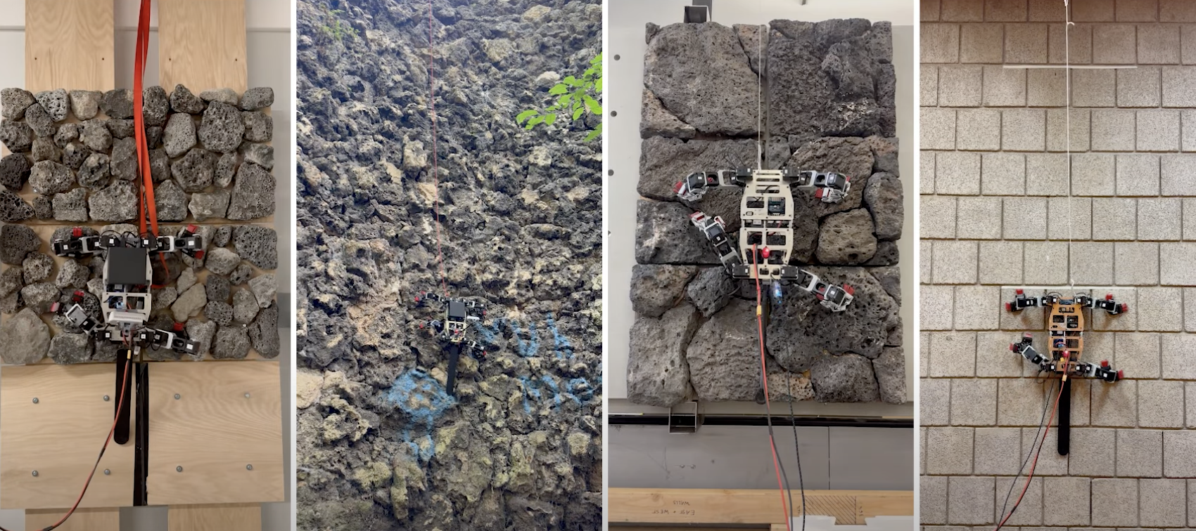 created-by-loris-robot-scalolas-with-“claws”