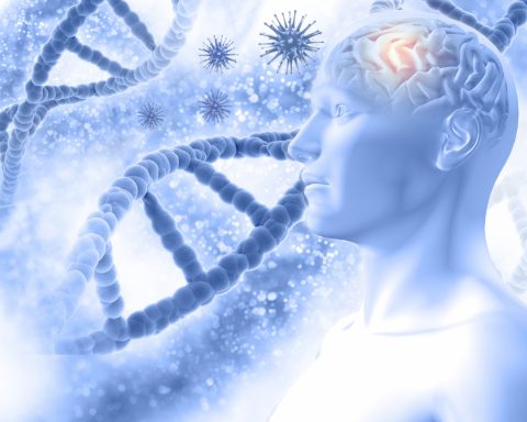 scientists-have-found-how-salt-changes-brain-cells