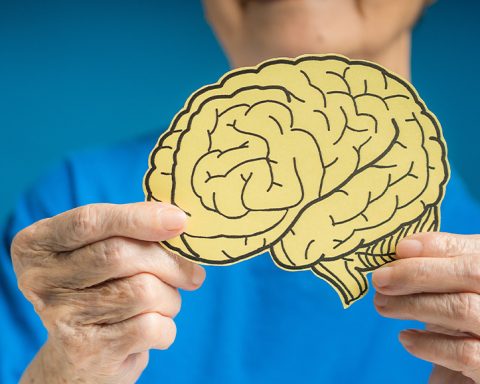 scientists-have-found-that-artificial-sweeteners-accelerate-brain-aging