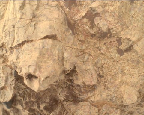 on-mars,-a-stone-similar-to-a-turtle-took-a-picture