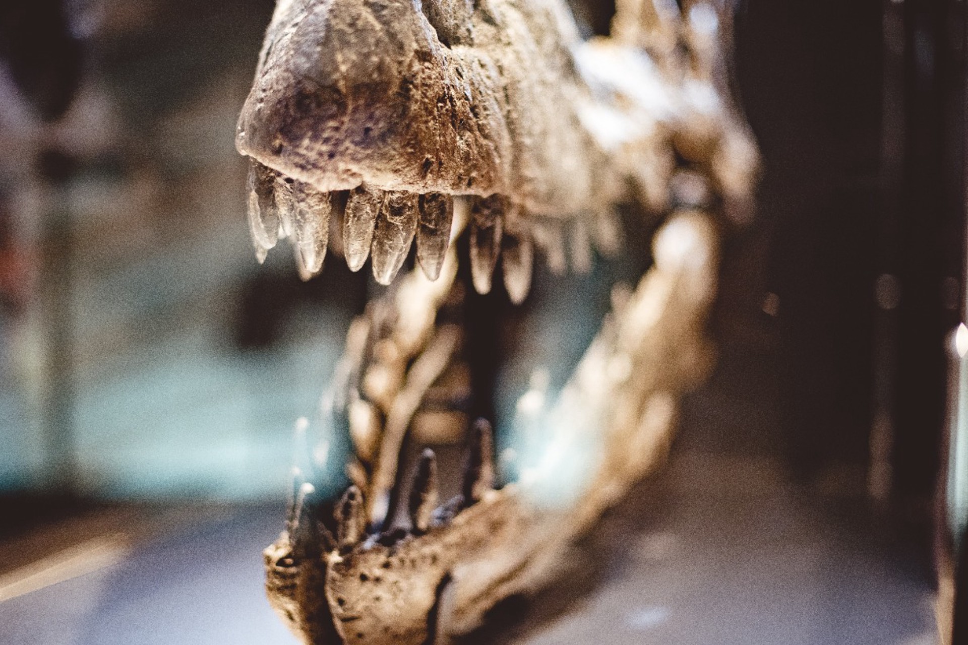 1920 683dca53b09c600060efb6d6 THE ASHGABAT TIMES