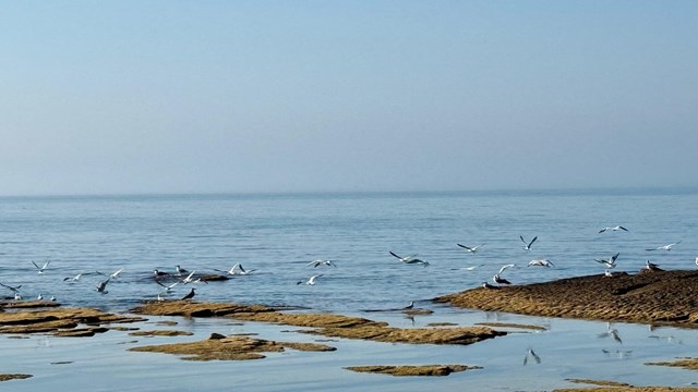 111111 THE ASHGABAT TIMES