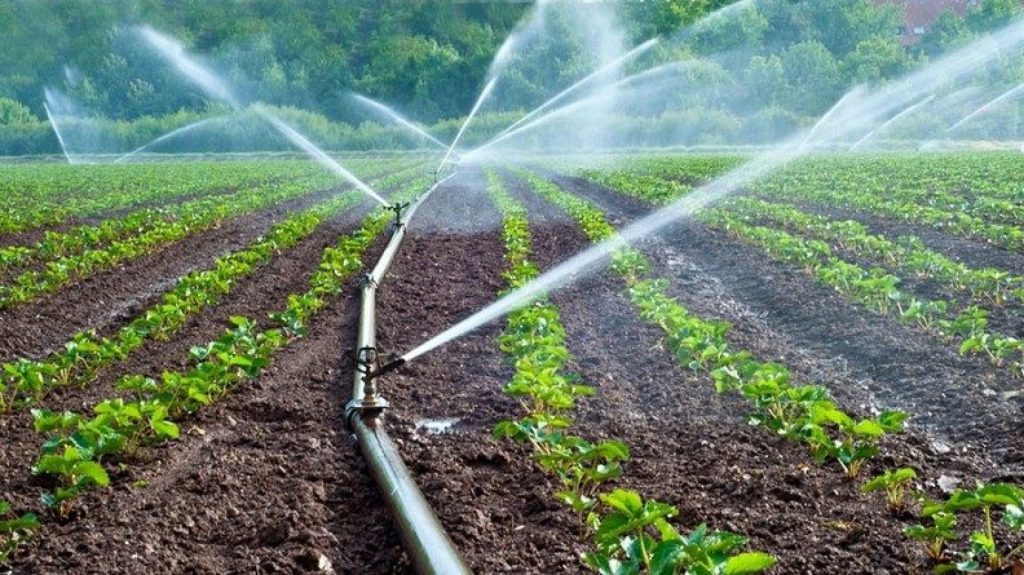 aaaaaaaaa THE ASHGABAT TIMES