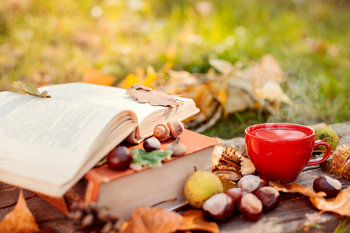 guyz kitap THE ASHGABAT TIMES