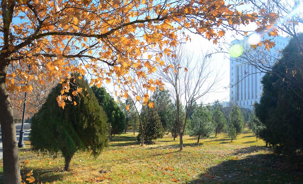 mak 4130 THE ASHGABAT TIMES