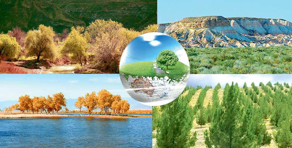 ekologiya 25 1 THE ASHGABAT TIMES