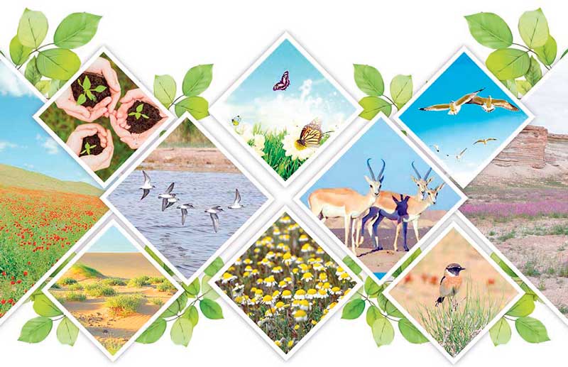 ekologiya dashky gurshaw envirenment of turkmenistan nature tebigat THE ASHGABAT TIMES