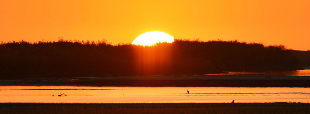 foto merdan orazow 17 THE ASHGABAT TIMES