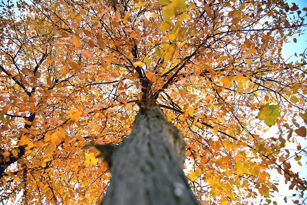 foto merdan orazow 2 THE ASHGABAT TIMES