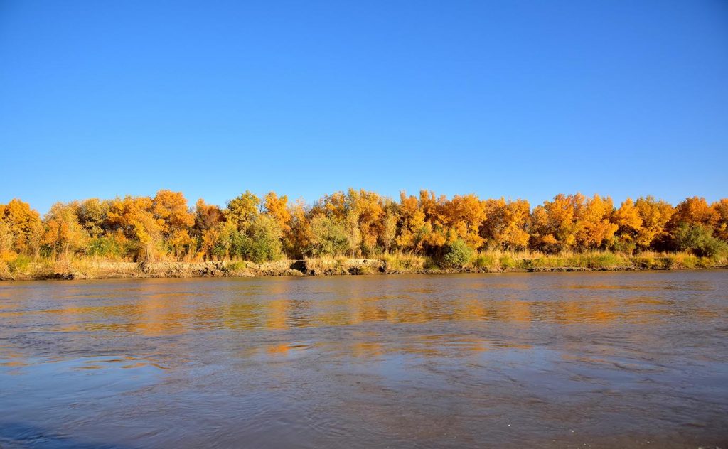 foto merdan orazow 5 THE ASHGABAT TIMES