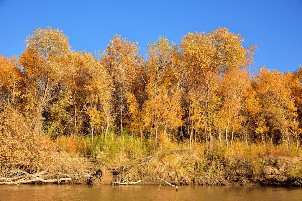 foto merdan orazow 6 THE ASHGABAT TIMES