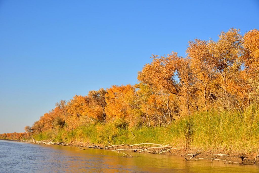 foto merdan orazow 7 THE ASHGABAT TIMES