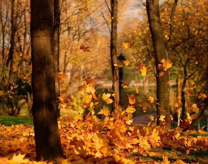 guyz THE ASHGABAT TIMES