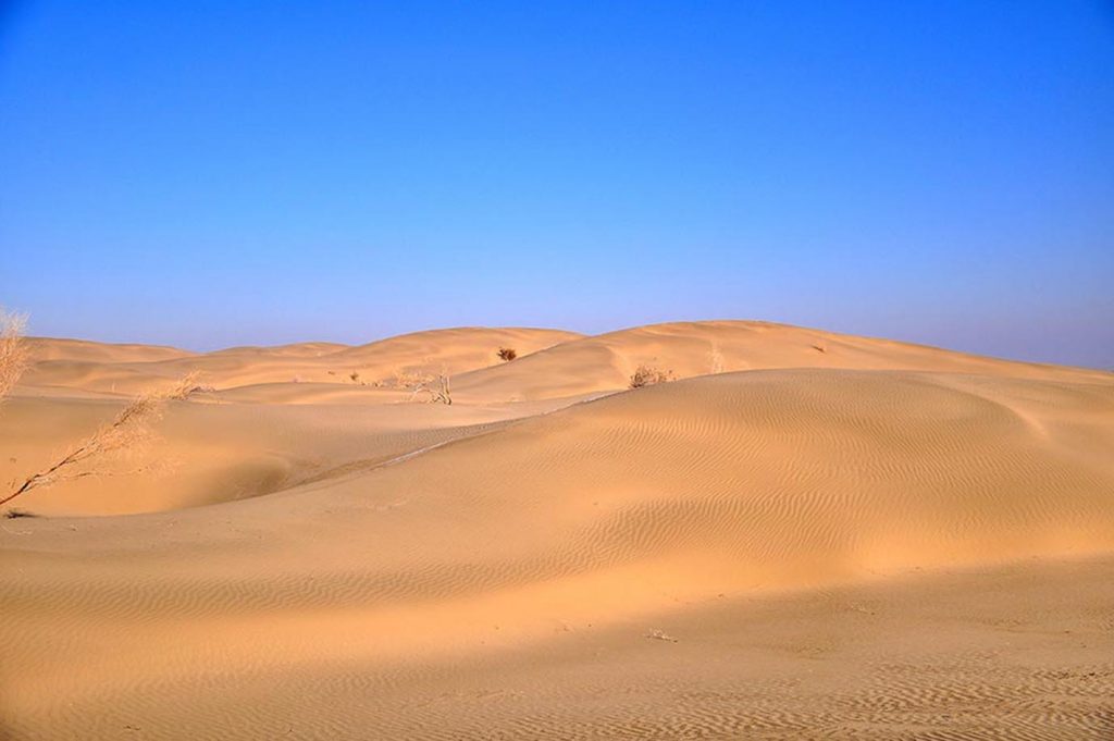 oma 0447 THE ASHGABAT TIMES