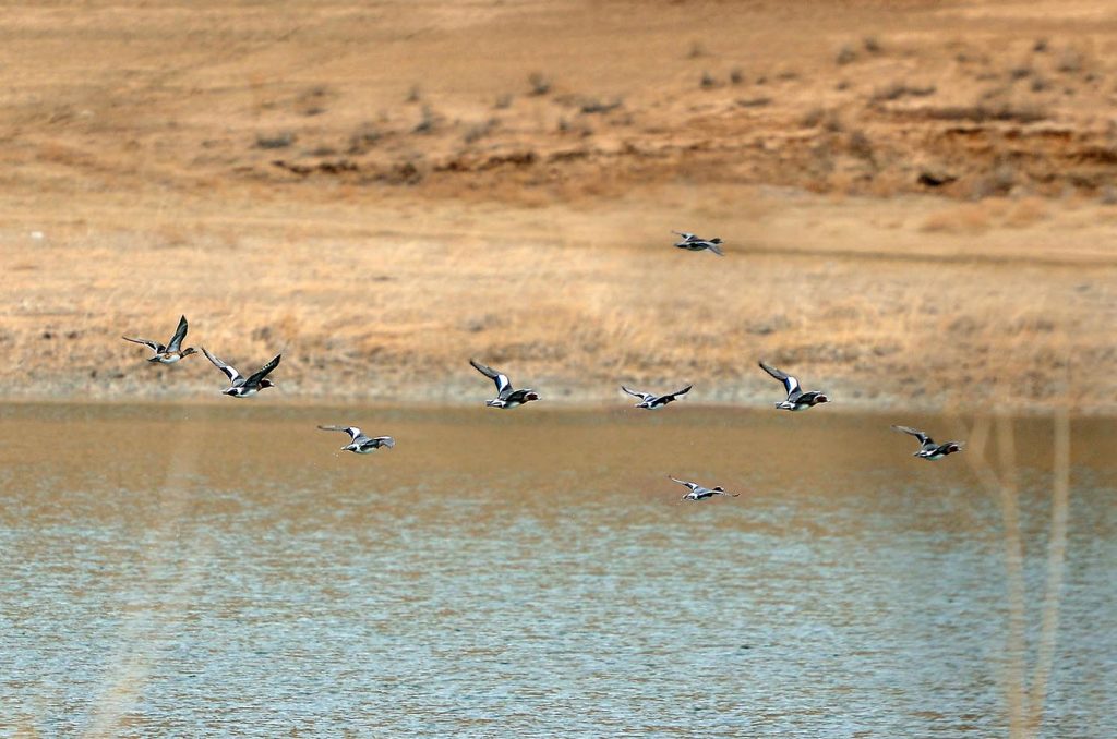 oma 2798 THE ASHGABAT TIMES