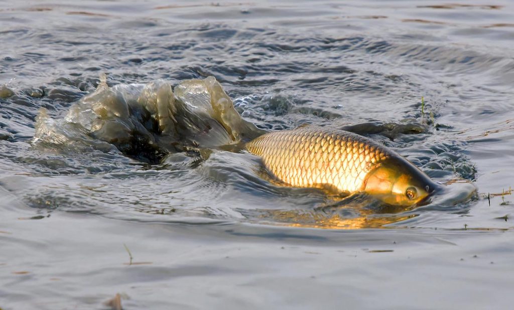 oma 3019 THE ASHGABAT TIMES