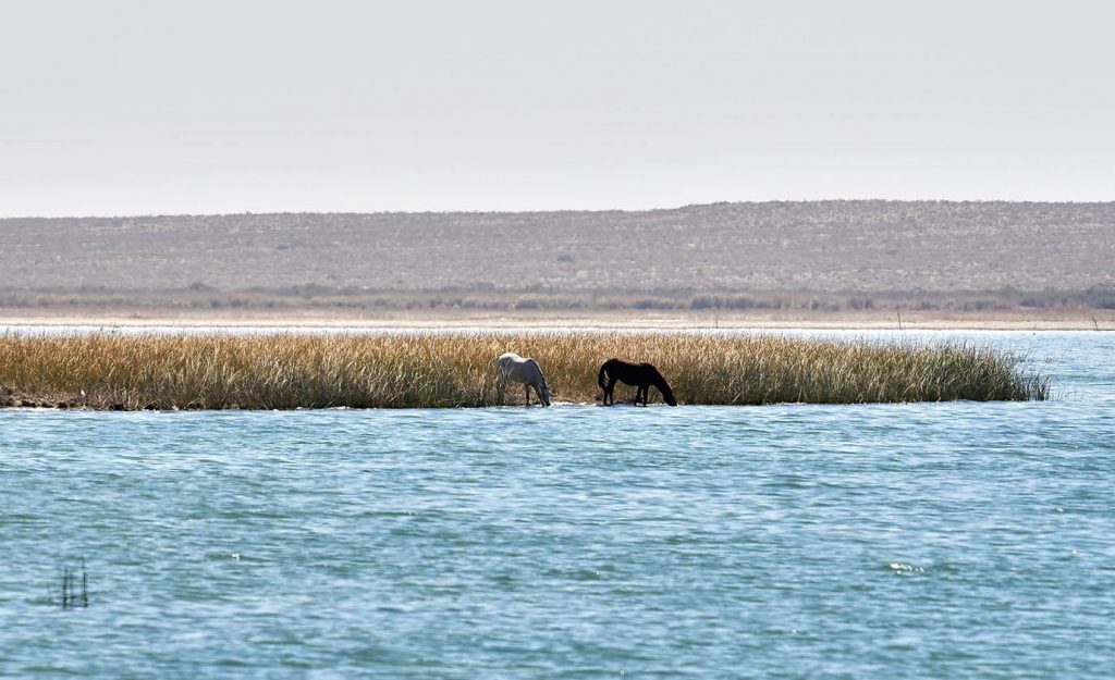 oma 7514 THE ASHGABAT TIMES