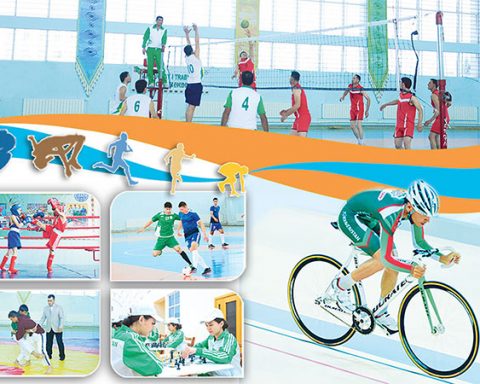 Sport we bedenterbiýe ulgamy