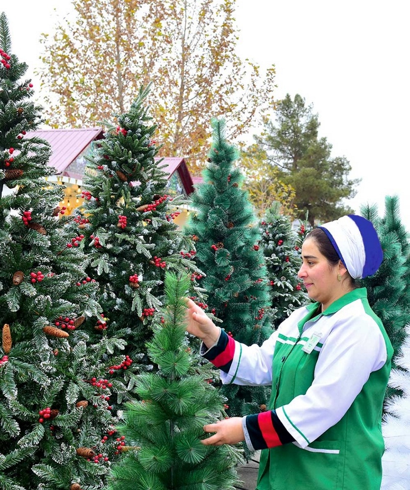 1766120973489 THE ASHGABAT TIMES