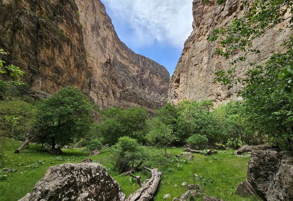 fe31c6e226ae80720aa45e7c3df71b2c THE ASHGABAT TIMES