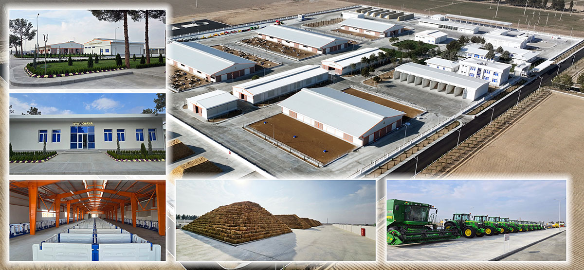 mal toplum THE ASHGABAT TIMES