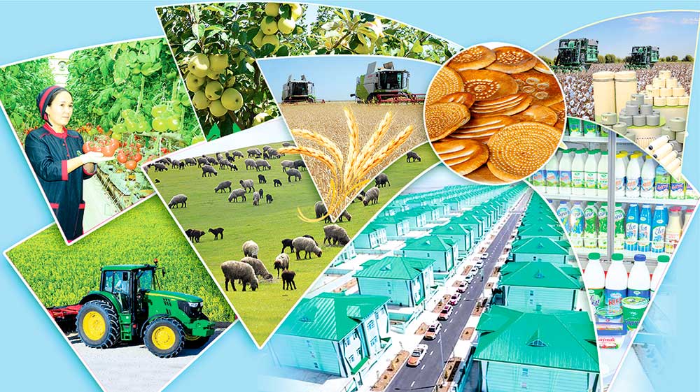 oba hojalyk 25 THE ASHGABAT TIMES