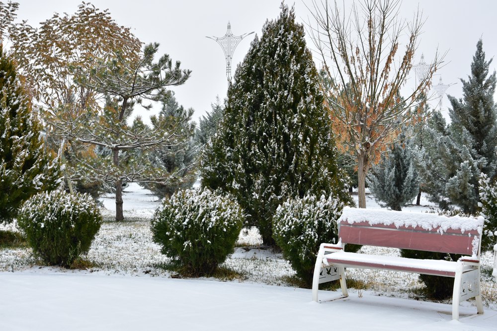 icc 4496 THE ASHGABAT TIMES