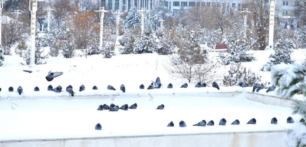 icc 5961 THE ASHGABAT TIMES