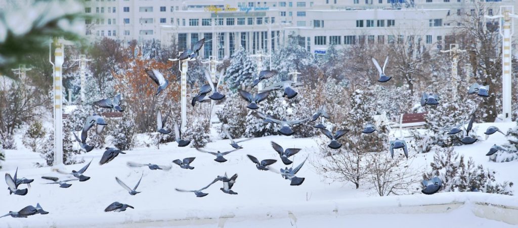 icc 5963 THE ASHGABAT TIMES