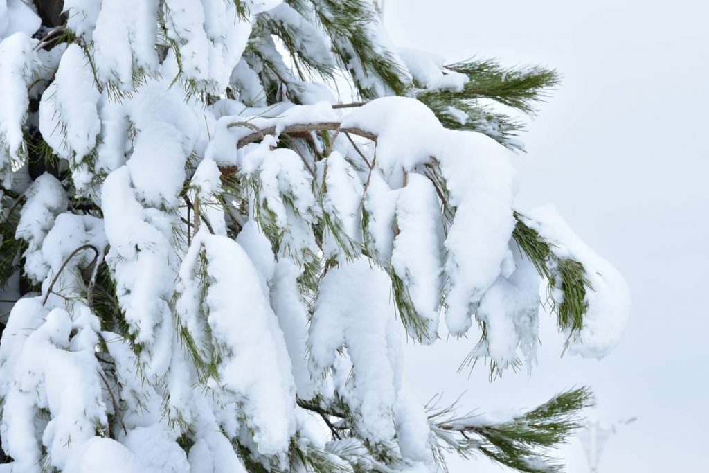 icc 6012 THE ASHGABAT TIMES