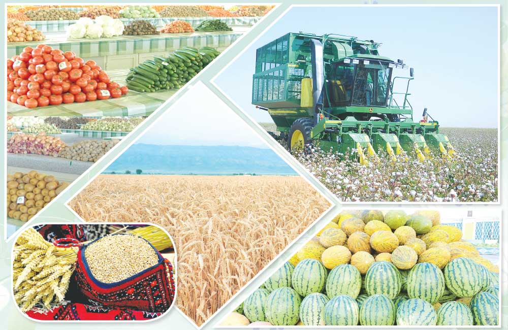 oba newnew THE ASHGABAT TIMES