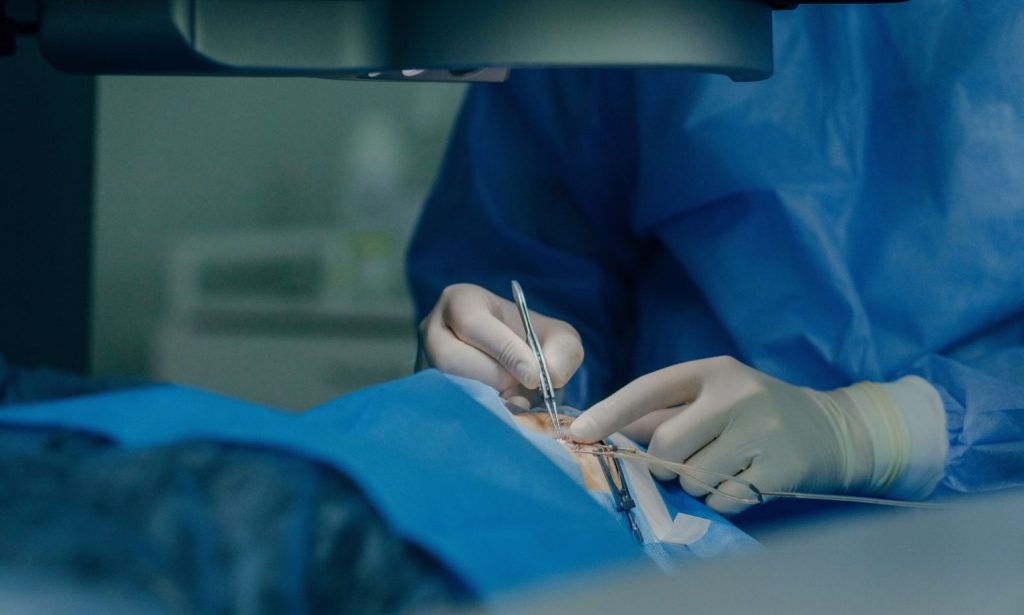 1770272273371 THE ASHGABAT TIMES