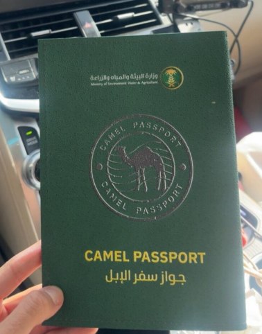 1770297030861 THE ASHGABAT TIMES