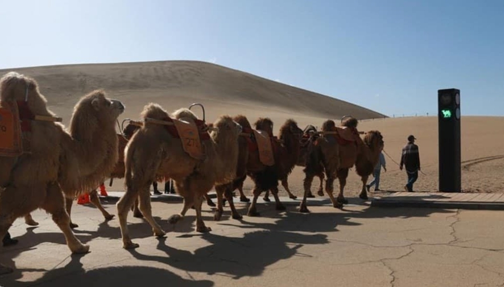 1770297030864 THE ASHGABAT TIMES